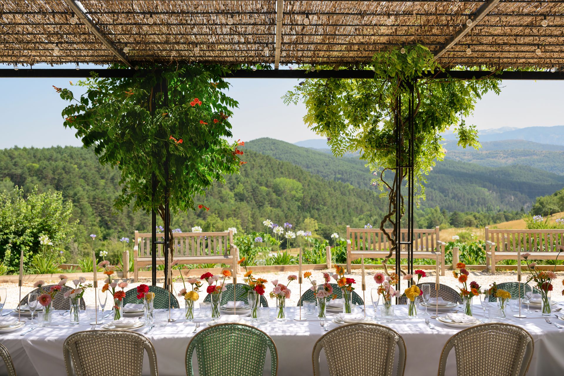 club l london edelweiss art floral