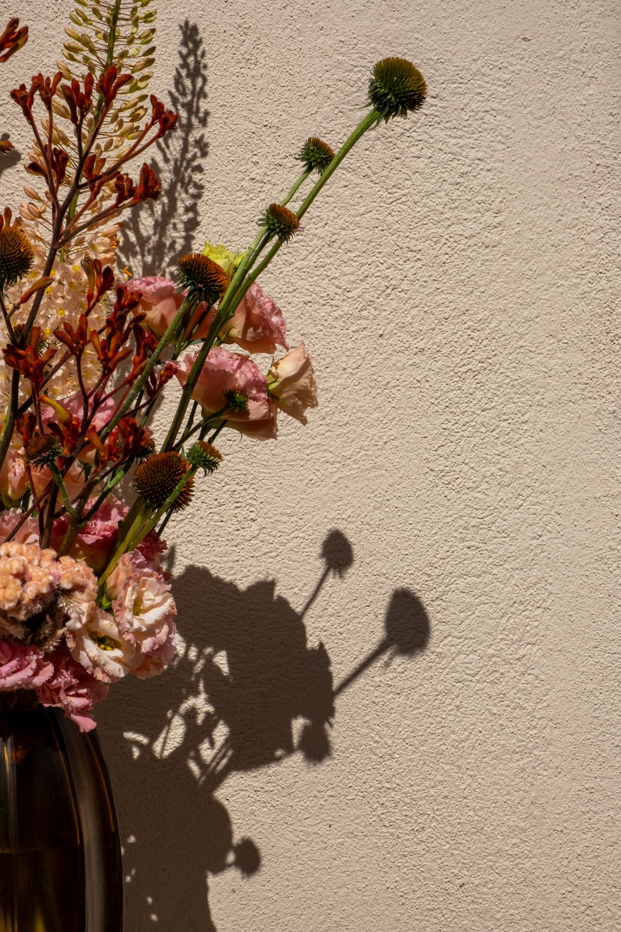 edelweiss art floral