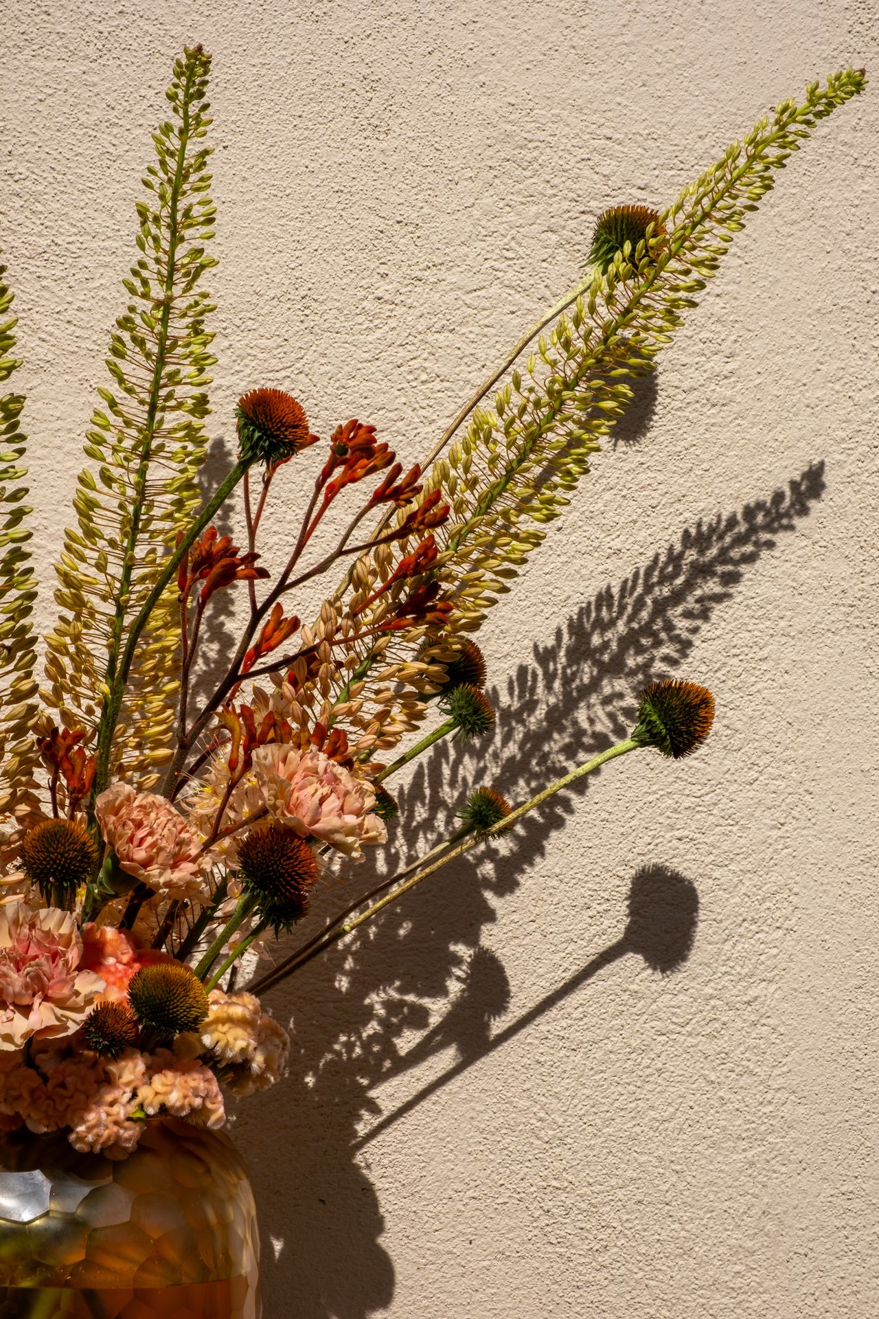 edelweiss art floral